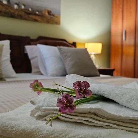 Lalovina Apartment Herceg Novi Dış mekan fotoğraf